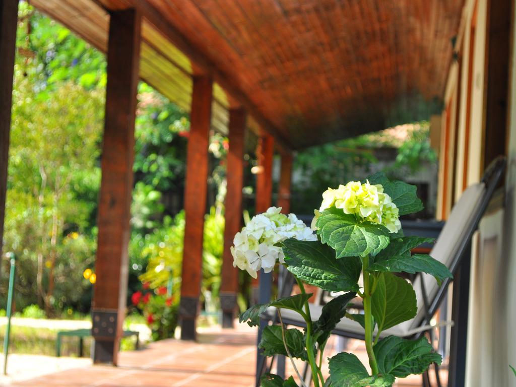 Hobbit Evi Ξενοδοχείο Çıralı Εξωτερικό φωτογραφία